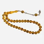 Qarışqa fosilli sıxma kəhrəba