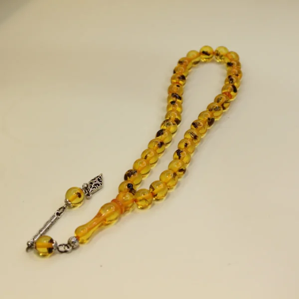 Qarışqa fosilli sıxma kəhrəba